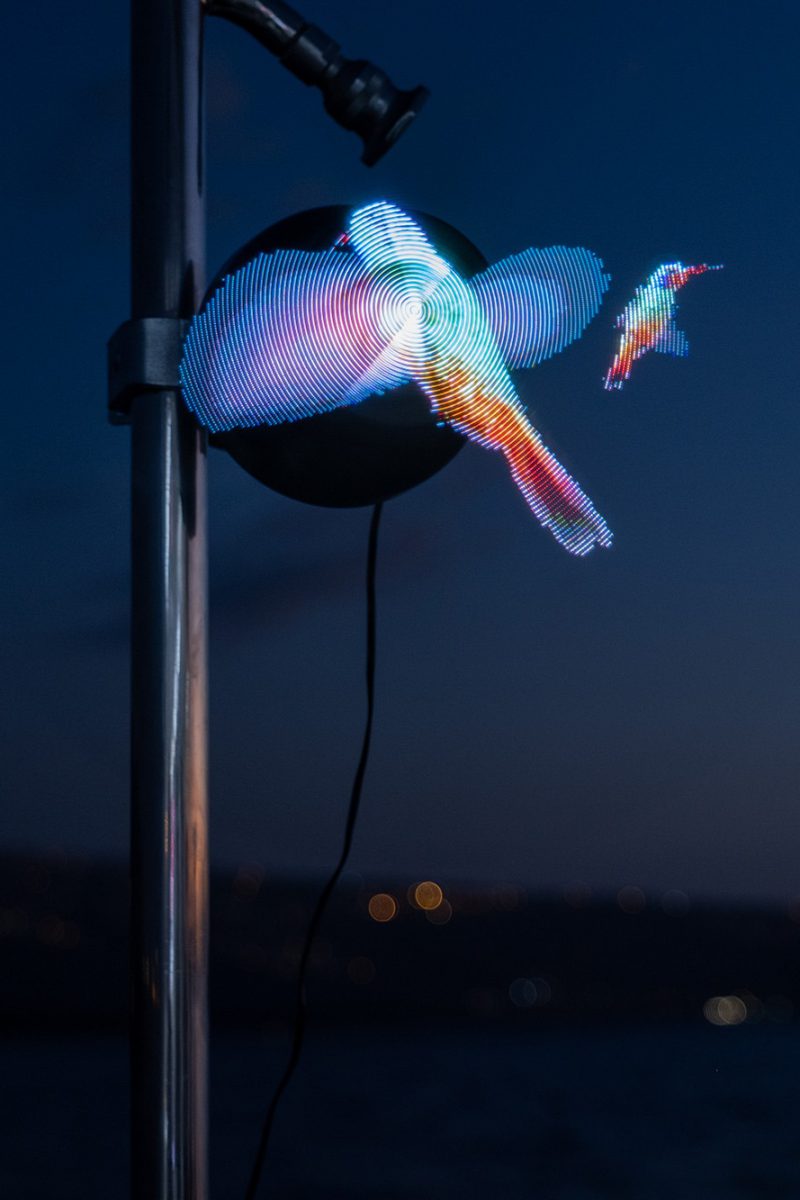 Image oiseaux holographique
