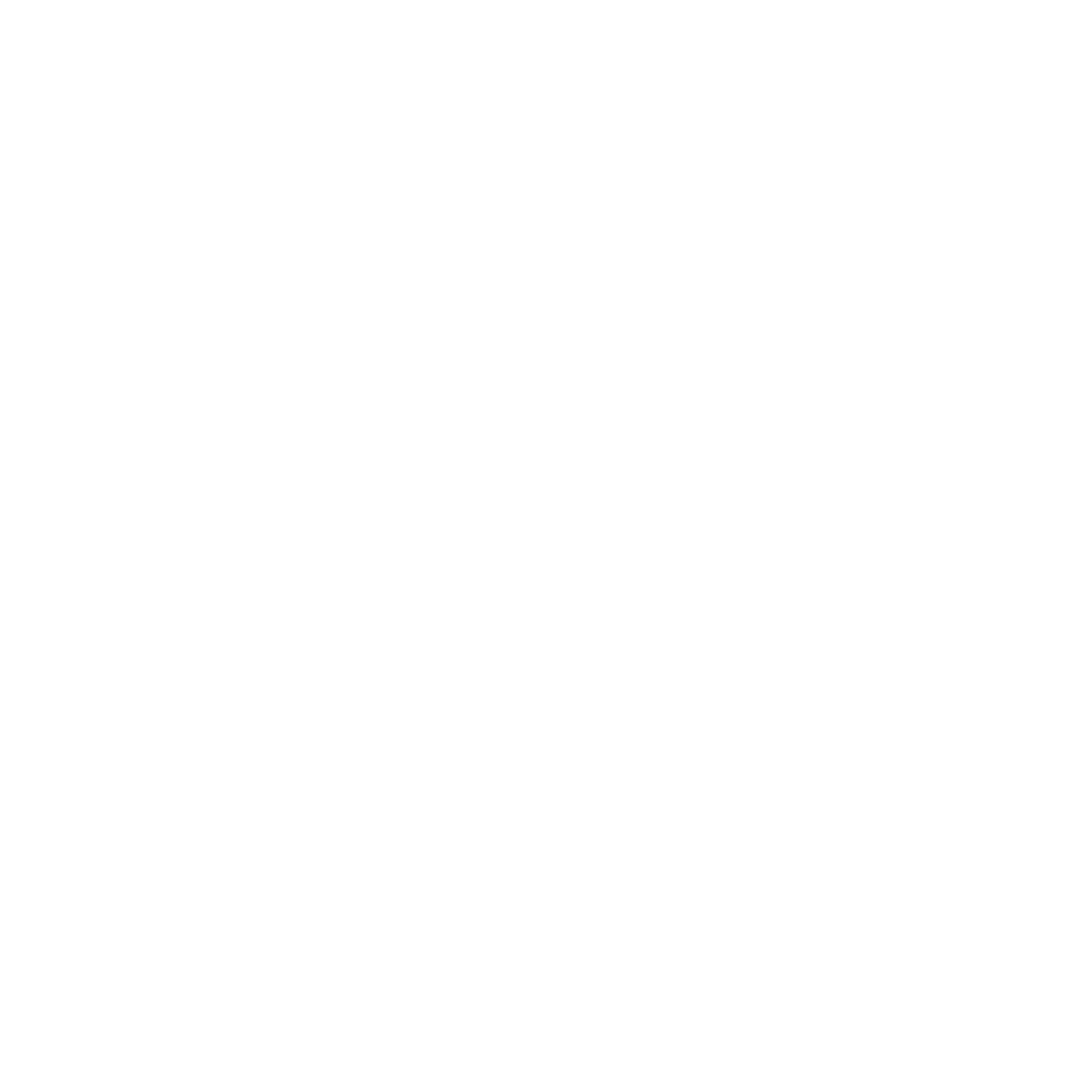 HOLOCOM
